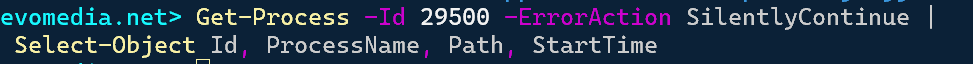 PID 29500 no longer exists.